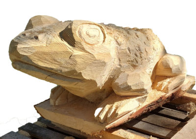 Sentier didactique (cycle 1) – Bufo le Crapaud