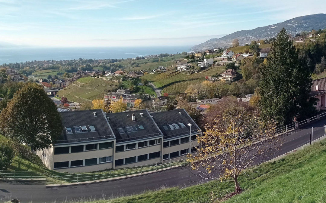 NEW: Conseil en matière de paysage