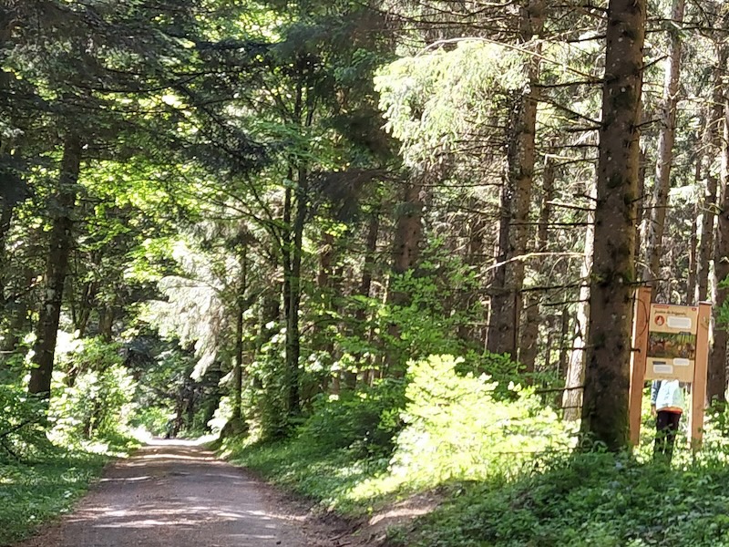 Une partie de l'équipe Relief