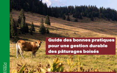 Gestion durable des pâturages boisés