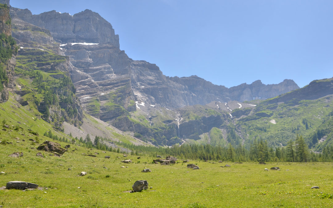 Excursion au Vallon de Nant avec la SVSN