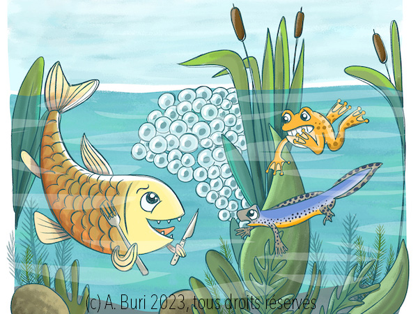 Ne jetez pas votre poisson rouge