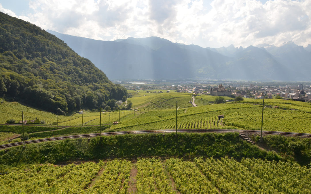 Des glaciers à la vigne: enquête sur un géotope à Aigle