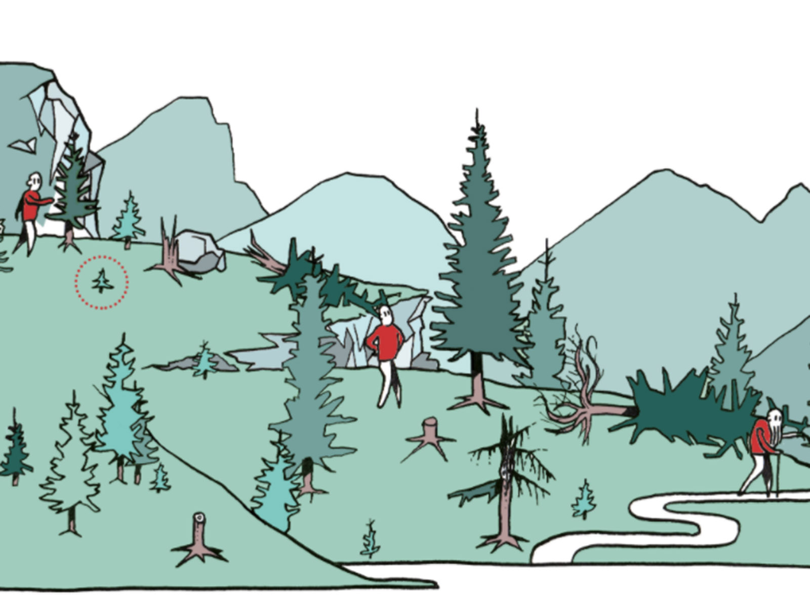 Vœux pour 2020: chasse au sapin